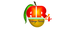 AR4 Mangoes - Logo
